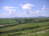 s_PICT0442_thumb.png
